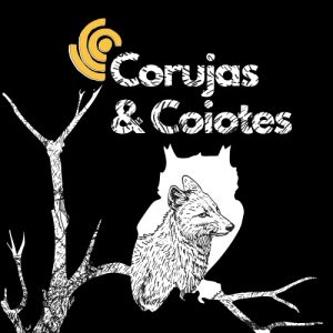 Corujas e Coiotes 2
